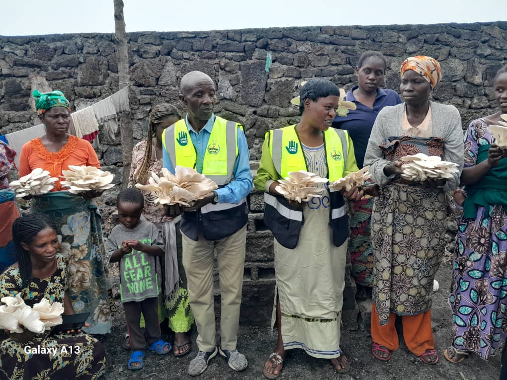 Renforcement des moyens de subsistance des communautés d'accueil et des familles déplacées en province de Nord-Kivu et de l'ituri
